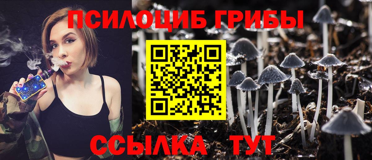 Казань  наркошоп  Галлюциногенные грибы Psilocybine cubensis  Вход с VPN  Галлюциногенные грибы мухоморы 