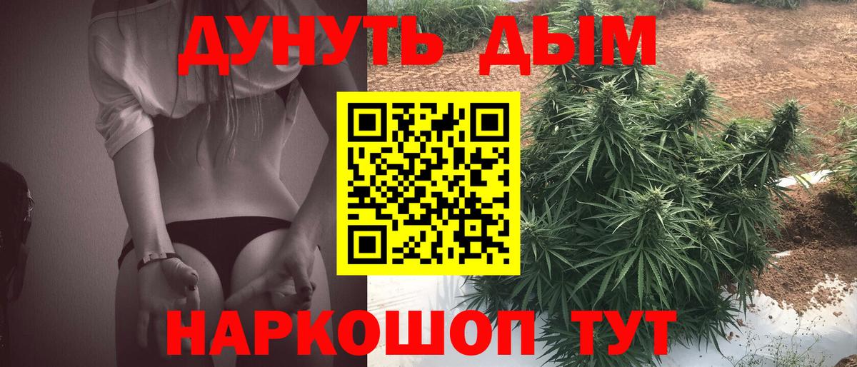 Шишки марихуана Bruce Banner  Вход с VPN  Канабис планчик  Казань 